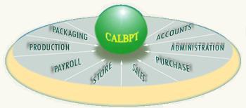 An ERP Solution